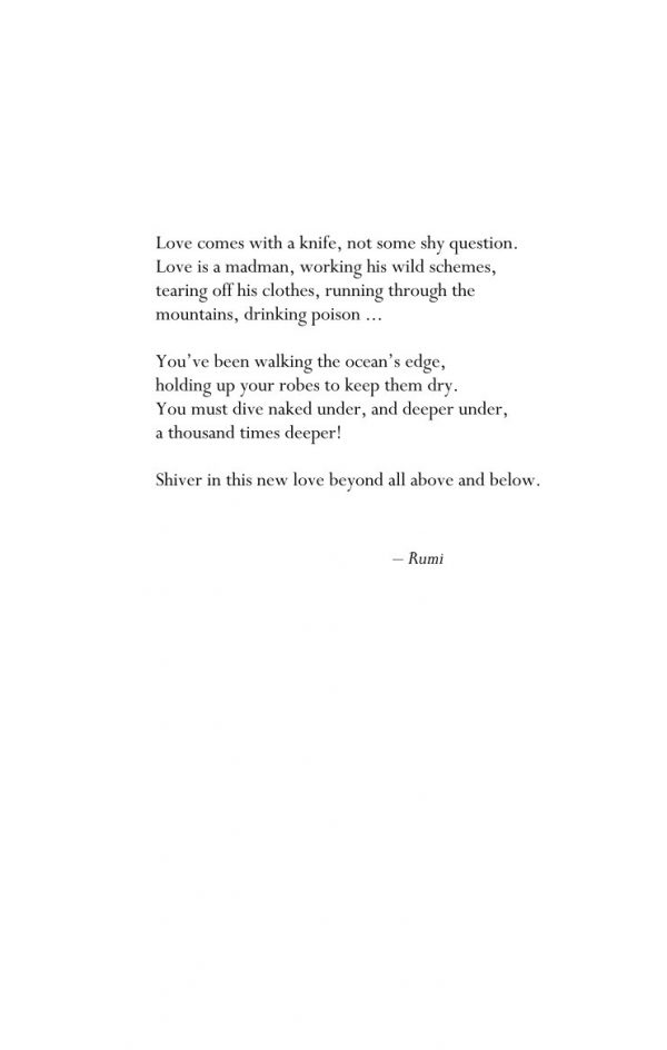 Love Comes With A Knife by Nancy Argot – Bild 5