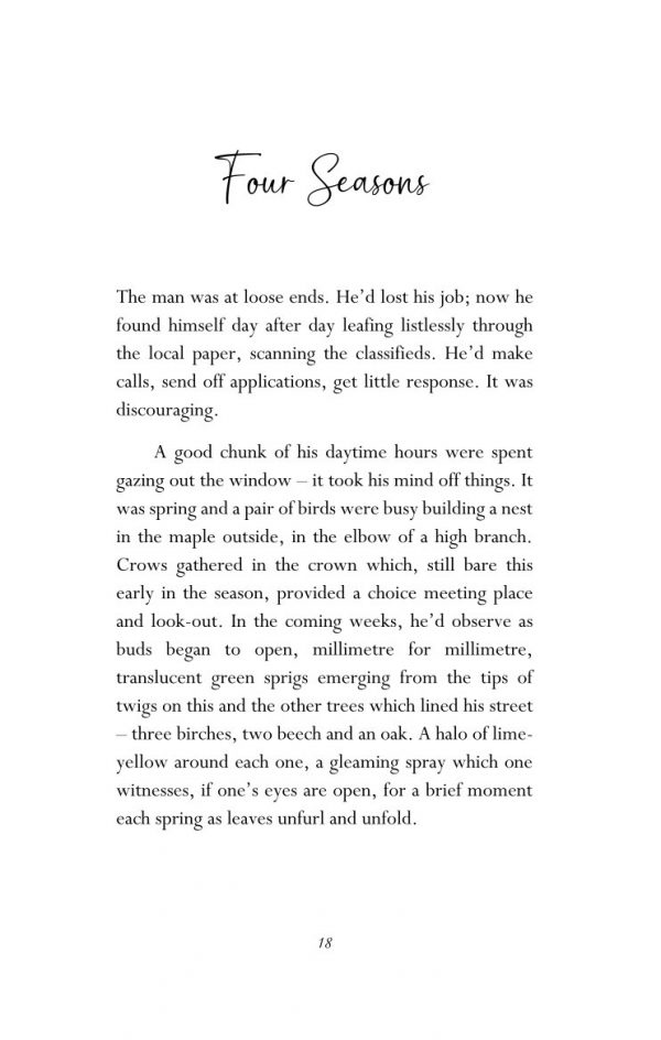 Miss Cricket by Nancy Argot – Bild 10