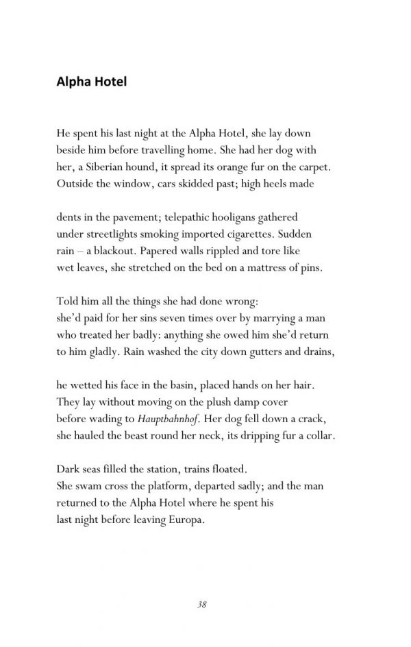 Quicksand or The Wedding Shoes of Frau Swan by Nancy Argot – Bild 11