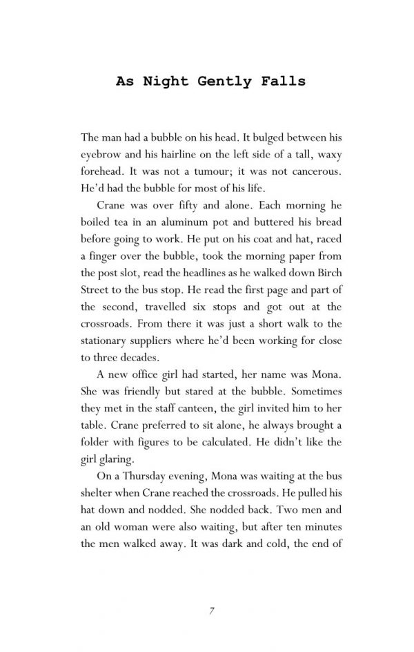 Tale of the Iguana Man and other stories by Nancy Argot – Bild 6